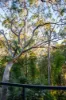 21a  Eastern Road, Tumbi Umbi, NSW 2261-Image