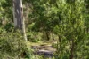 22 Acacia Road, Hawthorndene, SA 5051-Image