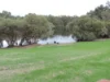 22 Aldinga St, Kenwick, WA 6107-Image