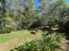 22 Andre Street, Mareeba, Qld 4880-Image