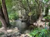 22 Andre Street, Mareeba, Qld 4880-Image