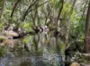 22 Andre Street, Mareeba, Qld 4880-Image