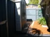 22 Angelo Avenue, Coombabah, Qld 4216-Image