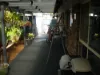 22 Angelo Avenue, Coombabah, Qld 4216-Image