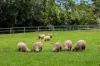 22 Bartle Road, Tamborine Mountain, Qld 4272-Image