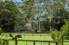 22 Bartle Road, Tamborine Mountain, Qld 4272-Image