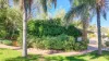 22 Battarbee Street, Araluen, NT 0870-Image