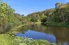 22 Brampton Way, Meridan Plains, Qld 4551-Image