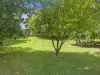 22 Bridge Street, Jamieson, Vic 3723-Image