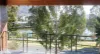 22 Candlebark Circuit, Upper Coomera, Qld 4209-Image