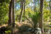 22 Casey Cres, Mystery Bay, NSW 2546-Image