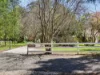 22 Cerberus Lane, Buxton, Vic 3711-Image
