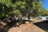 22 Chapman Drive, Clinton, Qld 4680-Image