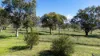 22 Charlton Crescent, Gordon, ACT 2906-Image