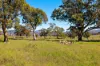 22 Charlton Crescent, Gordon, ACT 2906-Image