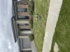 22 Colonnade Street, Clyde North, Vic 3978-Image