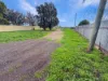 22 Conapaira Street, Whitton, NSW 2705-Image
