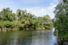 22 Coramba Street, Glenreagh, NSW 2450-Image