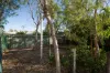 22 Craig Street, Port Hedland, WA 6721-Image