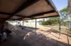 22 Craig Street, Port Hedland, WA 6721-Image