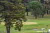22 Crandon Crescent, Newnham, Tas 7248-Image