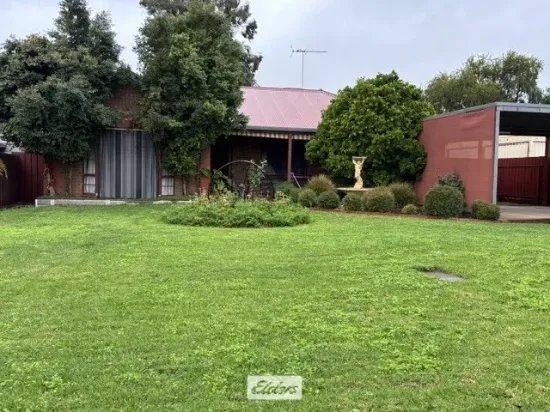 22 Crane Drive, Buronga, NSW 2739