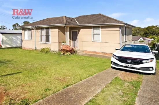 22 David Street,, Mount Pritchard, NSW 2170