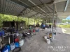 22 Devil Devil Close, Julatten, Qld 4871-Image