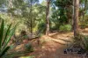 22 Dowd Road, Healesville, Vic 3777-Image