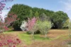 22 Dysart Street, Glenlyon, Vic 3461-Image