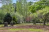 22 Dysart Street, Glenlyon, Vic 3461-Image