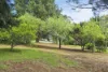 22 Dysart Street, Glenlyon, Vic 3461-Image