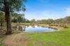 22 Edward Street, Glenrowan, Vic 3675-Image