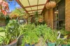 22 Eucalypt Grove, Heathcote Junction, Vic 3758-Image