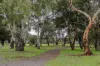 22 Gamay Drive, Old Reynella, SA 5161-Image