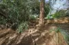 22 Grandview Drive, Tea Tree Gully, SA 5091-Image