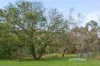 22 Greenmount Rise, Greenmount, WA 6056-Image