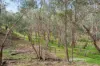 22 Greenmount Rise, Greenmount, WA 6056-Image