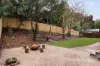 22 Haleys Gully Road, Hurstbridge, Vic 3099-Image
