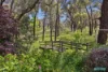 22 Hill Street, Eaglehawk, Vic 3556-Image
