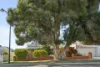 22 Hobart Street, North Perth, WA 6006