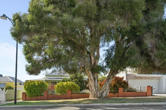 22 Hobart Street, North Perth, WA 6006 - For Sale