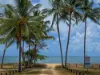 22 Jacobs Road, Kurrimine Beach, Qld 4871-Image