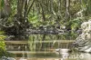 22 Johns Road, Mudgeeraba, Qld 4213-Image