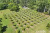 22 Johns Road, Mudgeeraba, Qld 4213-Image