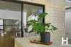 22 Liddell Street, Girrawheen, WA 6064-Image