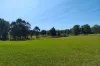 22 Mark Road, Nelson, NSW 2765-Image