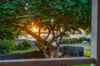 22 Mark Road, Russell Island, Qld 4184