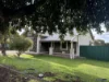 22 Old Kapunda Road, Nuriootpa, SA 5355-Image