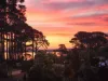 22 Palmer Street, Corinella, Vic 3984-Image
